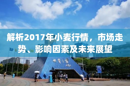 解析2017年小麦行情，市场走势、影响因素及未来展望