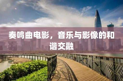 奏鸣曲电影，音乐与影像的和谐交融
