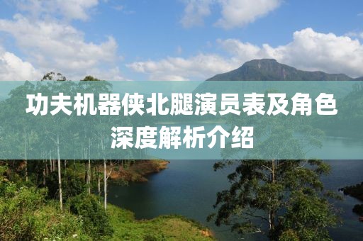 功夫机器侠北腿演员表及角色深度解析介绍