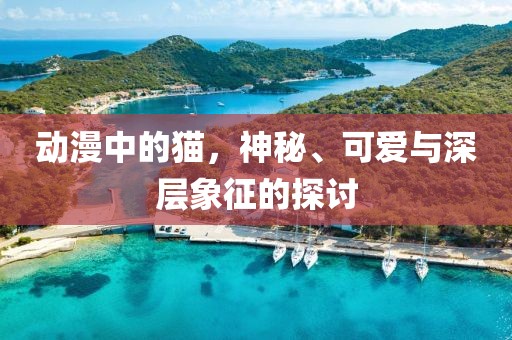 动漫中的猫，神秘、可爱与深层象征的探讨