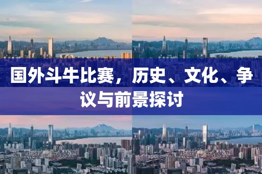 国外斗牛比赛，历史、文化、争议与前景探讨