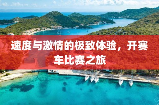 速度与激情的极致体验，开赛车比赛之旅