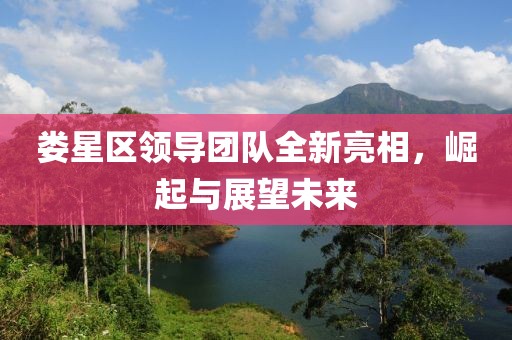 娄星区领导团队全新亮相，崛起与展望未来