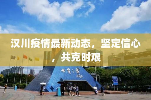 汉川疫情最新动态，坚定信心，共克时艰