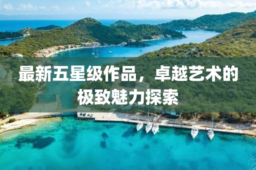 最新五星级作品，卓越艺术的极致魅力探索