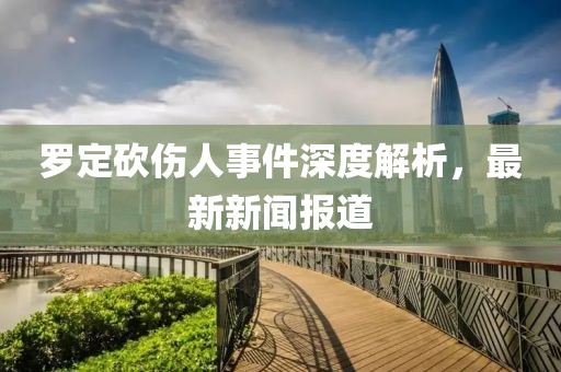 罗定砍伤人事件深度解析，最新新闻报道