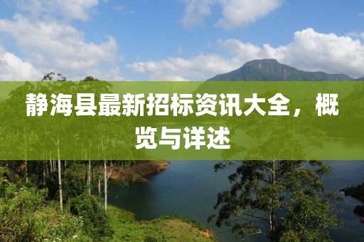 静海县最新招标资讯大全，概览与详述