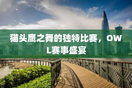 猫头鹰之舞的独特比赛，OWL赛事盛宴