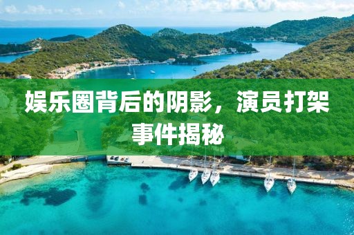 娱乐圈背后的阴影，演员打架事件揭秘