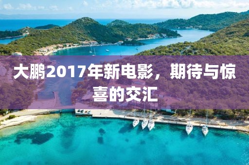 大鹏2017年新电影，期待与惊喜的交汇