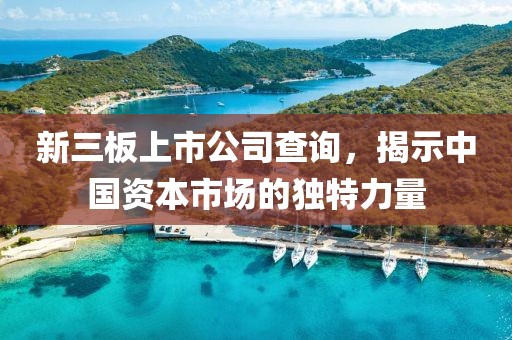 新三板上市公司查询，揭示中国资本市场的独特力量