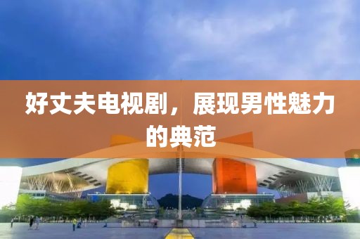 好丈夫电视剧，展现男性魅力的典范