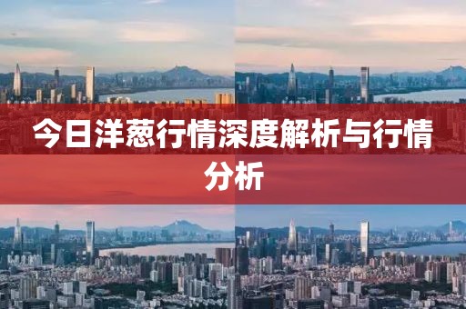 今日洋葱行情深度解析与行情分析