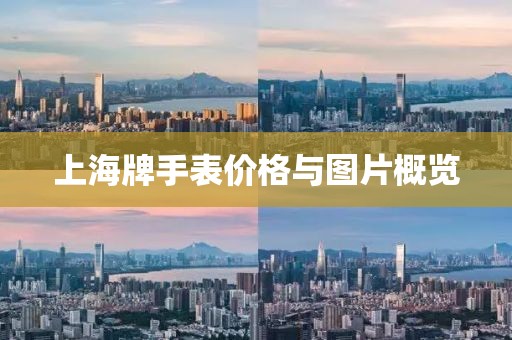 上海牌手表价格与图片概览