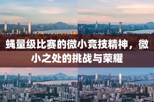 蝇量级比赛的微小竞技精神，微小之处的挑战与荣耀