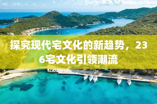 探究现代宅文化的新趋势，236宅文化引领潮流