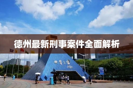 德州最新刑事案件全面解析