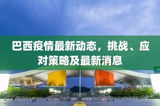 巴西疫情最新动态，挑战、应对策略及最新消息