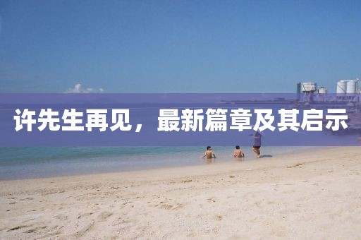 许先生再见，最新篇章及其启示