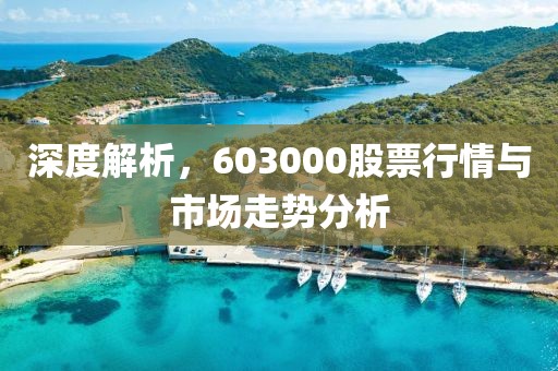 深度解析，603000股票行情与市场走势分析