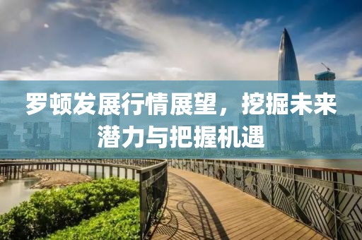 罗顿发展行情展望，挖掘未来潜力与把握机遇