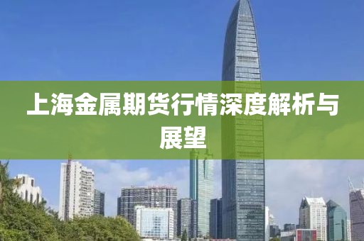 上海金属期货行情深度解析与展望