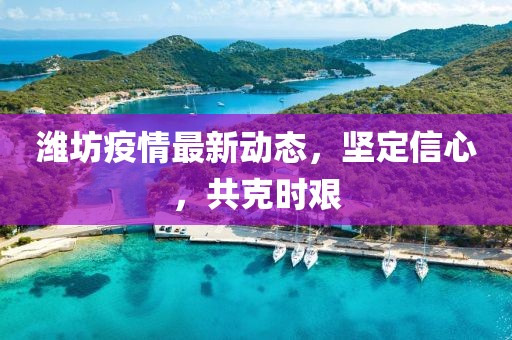 潍坊疫情最新动态，坚定信心，共克时艰