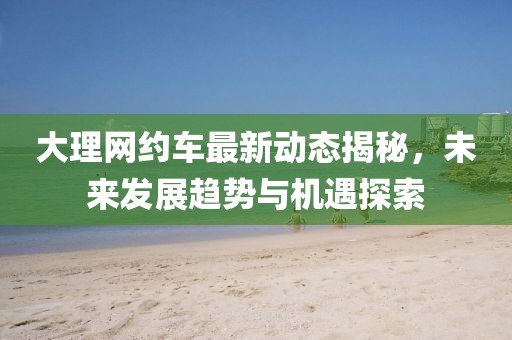 大理网约车最新动态揭秘，未来发展趋势与机遇探索