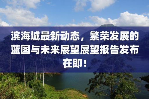 滨海城最新动态，繁荣发展的蓝图与未来展望展望报告发布在即！