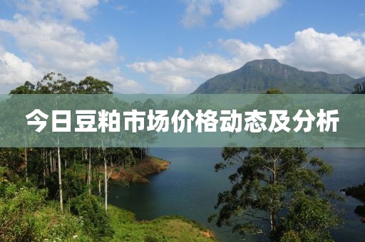 今日豆粕市场价格动态及分析