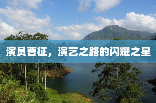 演员曹征，演艺之路的闪耀之星