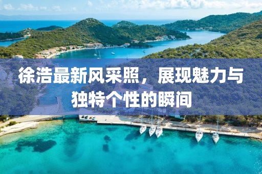 徐浩最新风采照，展现魅力与独特个性的瞬间