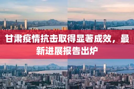 甘肃疫情抗击取得显著成效，最新进展报告出炉