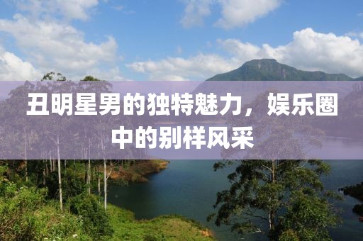 丑明星男的独特魅力，娱乐圈中的别样风采