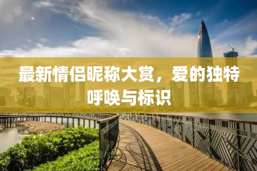最新情侣昵称大赏，爱的独特呼唤与标识