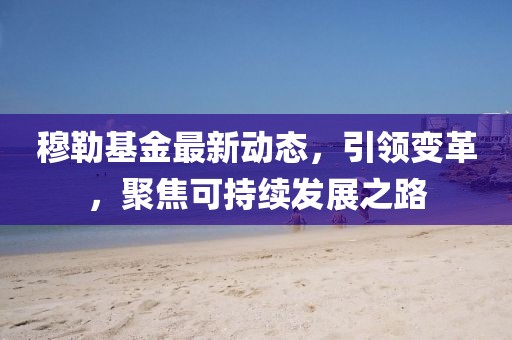 穆勒基金最新动态，引领变革，聚焦可持续发展之路