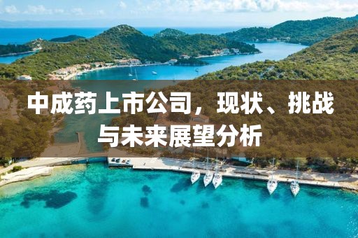 中成药上市公司，现状、挑战与未来展望分析
