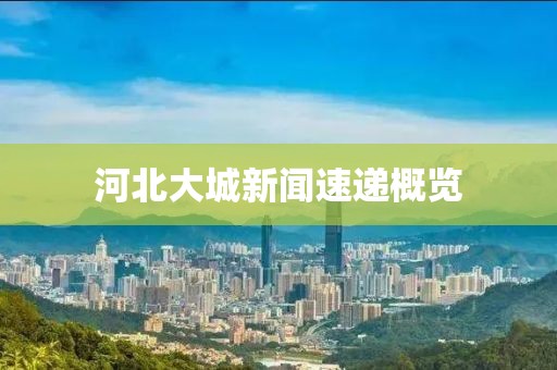 河北大城新闻速递概览