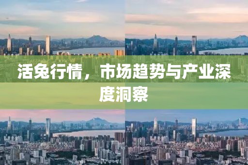 活兔行情，市场趋势与产业深度洞察