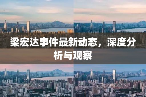 梁宏达事件最新动态，深度分析与观察