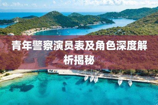 青年警察演员表及角色深度解析揭秘