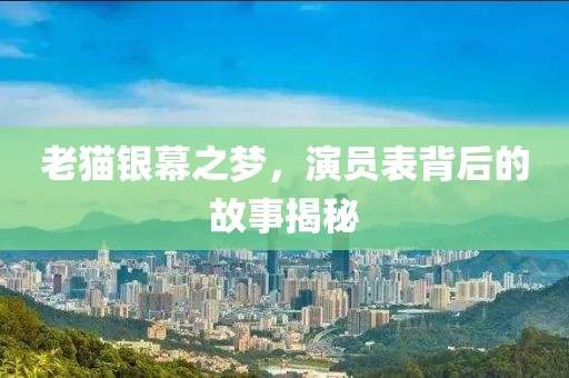 老猫银幕之梦，演员表背后的故事揭秘
