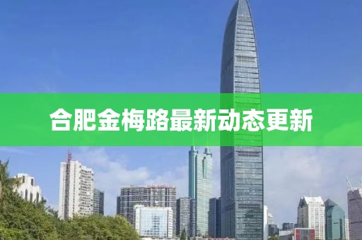 合肥金梅路最新动态更新