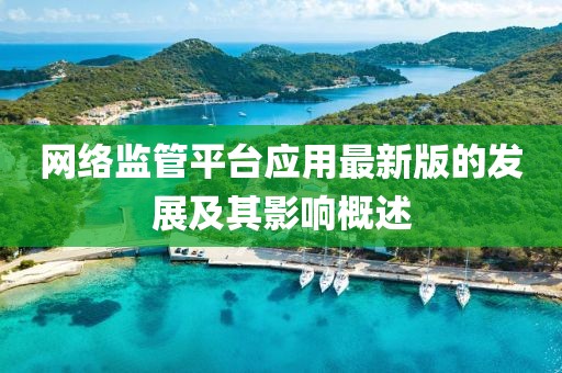网络监管平台应用最新版的发展及其影响概述