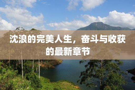 沈浪的完美人生，奋斗与收获的最新章节