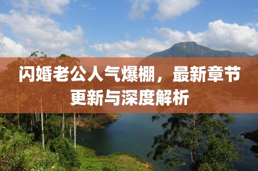 闪婚老公人气爆棚，最新章节更新与深度解析