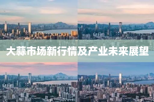 大蒜市场新行情及产业未来展望