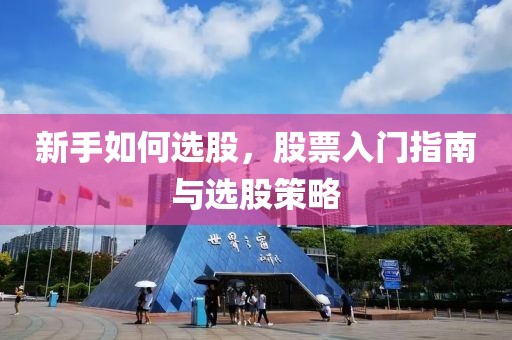 新手如何选股，股票入门指南与选股策略