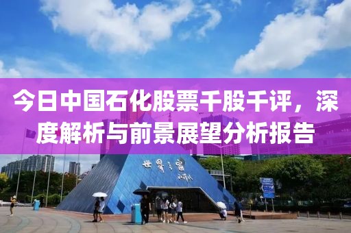 今日中国石化股票千股千评，深度解析与前景展望分析报告