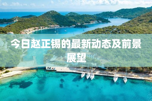 今日赵正锡的最新动态及前景展望